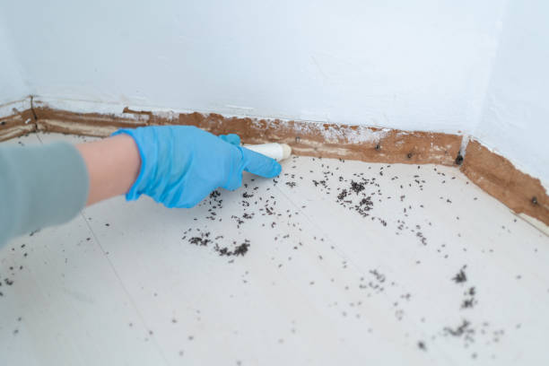 Best Pest Control for Homes  in Randolph, NE